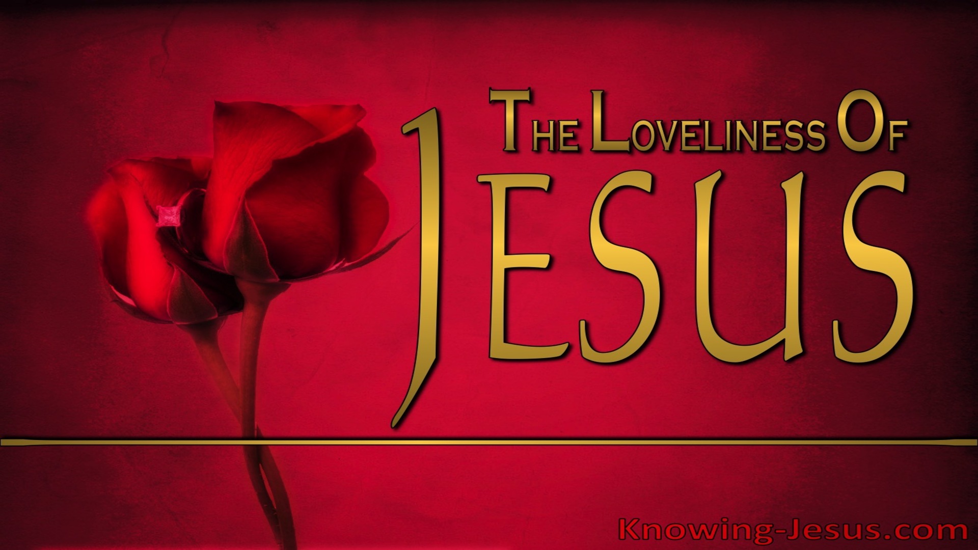 The Loveliness Of Jesus (devotional)